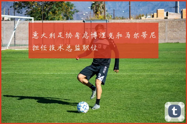 意大利足协考虑博涅克和马尔蒂尼担任技术总监职位